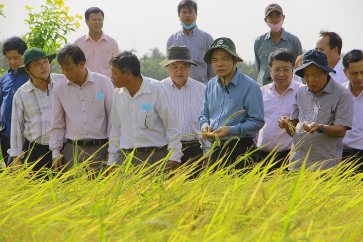 Kỹ sư Hồ Quang Cua trải lòng với Bộ trưởng NN-PTNT chuyện gạo ST25 rớt hạng - Ảnh 2.