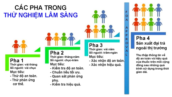 Vì sao phải chia nhóm tuổi thử nghiệm vắc xin? - Ảnh 2. Vì sao phải chia nhóm tuổi thử nghiệm vắc xin? - Ảnh 2.