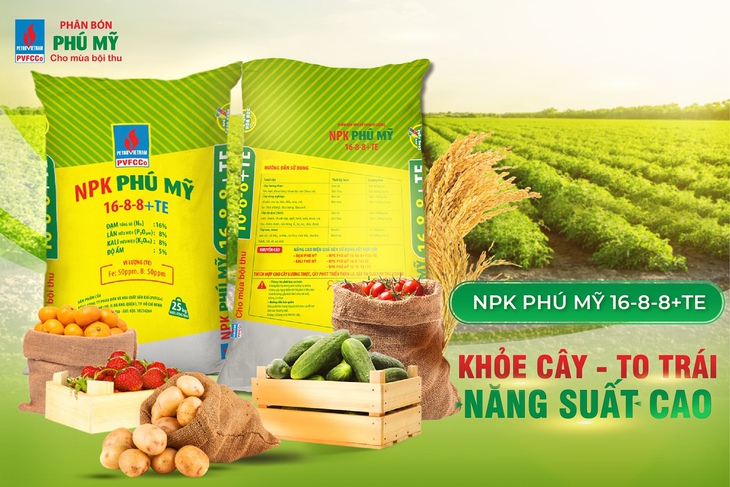 NPK Phú Mỹ tăng trưởng vượt bậc - Ảnh 1.