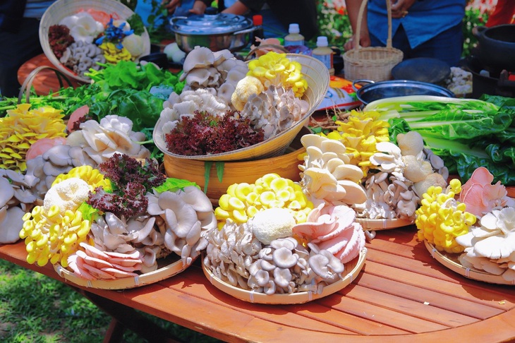 Trải nghiệm mới lạ cho du khách từ Làng Nấm Đà Lạt - Ảnh 1. Trải nghiệm mới lạ cho du khách từ Làng Nấm Đà Lạt - Ảnh 1.