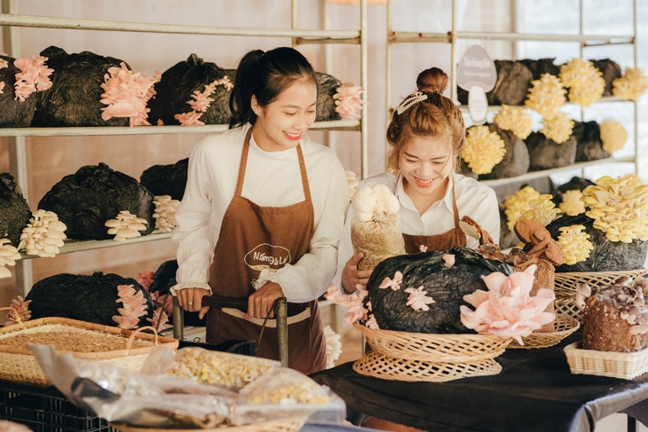 Trải nghiệm mới lạ cho du khách từ Làng Nấm Đà Lạt - Ảnh 3. Trải nghiệm mới lạ cho du khách từ Làng Nấm Đà Lạt - Ảnh 3.