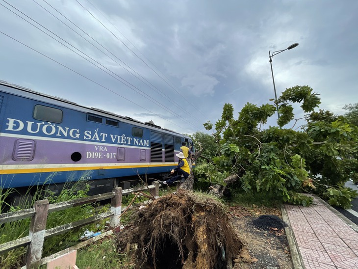 Cây xanh bật gốc vào đường ray khi tàu đưa người dân về quê chạy gần tới - Ảnh 1.