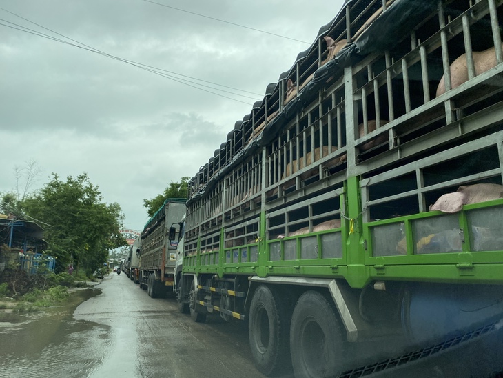 Quốc lộ 1 ngập lũ, xe cộ ùn ứ dài hàng cây số đường lên cao tốc Đà Nẵng - Quảng Ngãi - Ảnh 1.