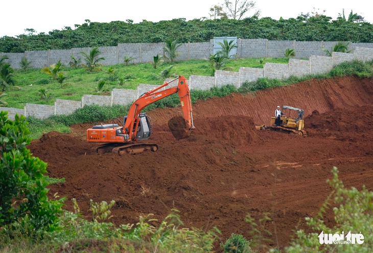 Xé nát vùng chè Bảo Lộc: Bắt đầu giám định hiện trường trong 10 ngày - Ảnh 2.