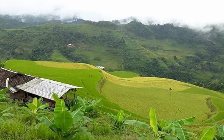 Bài tham dự cuộc thi 