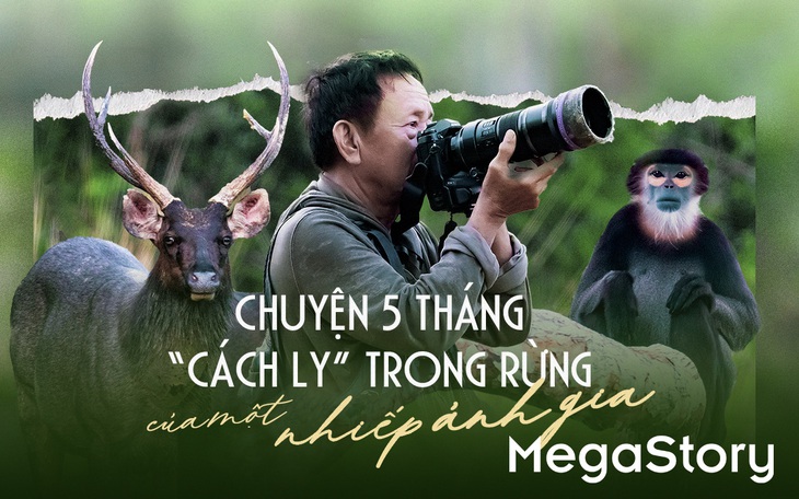 Chuyện 5 tháng 