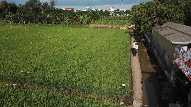 Bộ trưởng Lê Minh Hoan: Rồi mọi chuyện sẽ qua! - Ảnh 8.