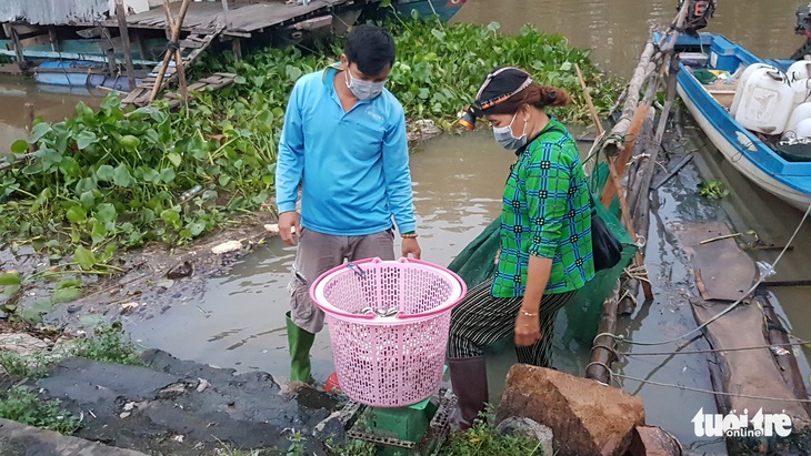 Đỉnh lũ Đồng bằng sông Cửu Long dưới báo động 1, ít cá tôm, không ‘chợ âm phủ’ - Ảnh 3.