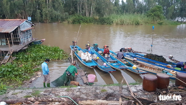 Đỉnh lũ Đồng bằng sông Cửu Long dưới báo động 1, ít cá tôm, không ‘chợ âm phủ’ - Ảnh 4.