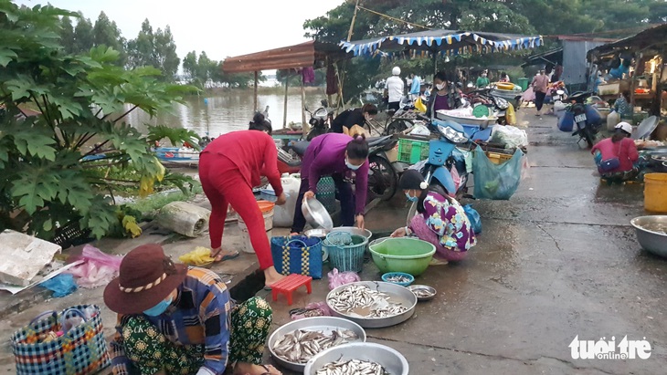 Đỉnh lũ Đồng bằng sông Cửu Long dưới báo động 1, ít cá tôm, không ‘chợ âm phủ’ - Ảnh 5.