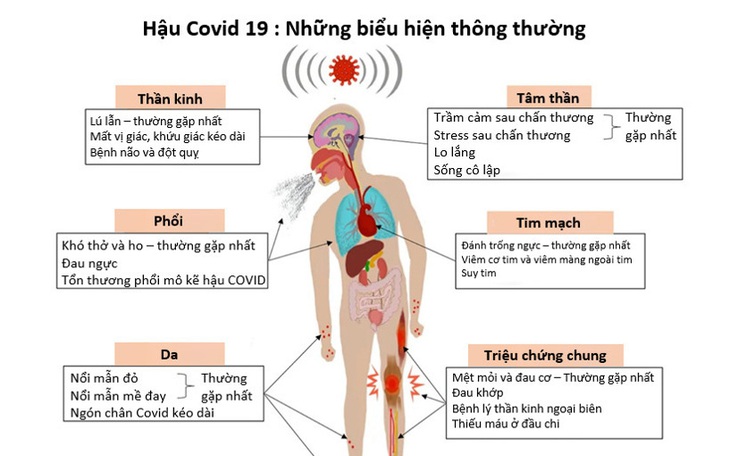 Ai dễ mắc xơ phổi hậu COVID, di chứng này có nguy hiểm không?