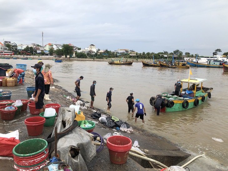 Từ 5-10, doanh nghiệp đảm bảo 3 tại chỗ mới được hoạt động trong cảng cá Phan Thiết - Ảnh 1.