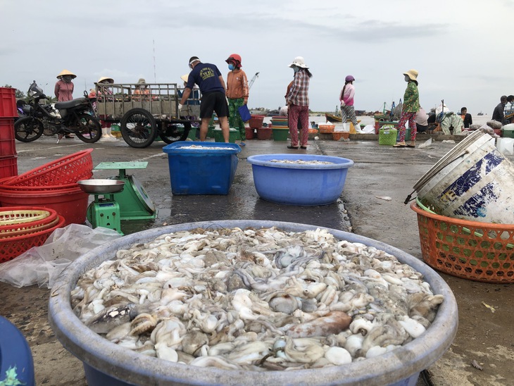 Ngư dân tranh thủ trước giờ cảng cá Phan Thiết tạm dừng hoạt động - Ảnh 3.