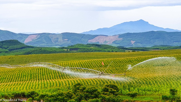 Anh hùng Lao động Thái Hương được tôn vinh tại chương trình Vinh quang Việt Nam - Ảnh 3.