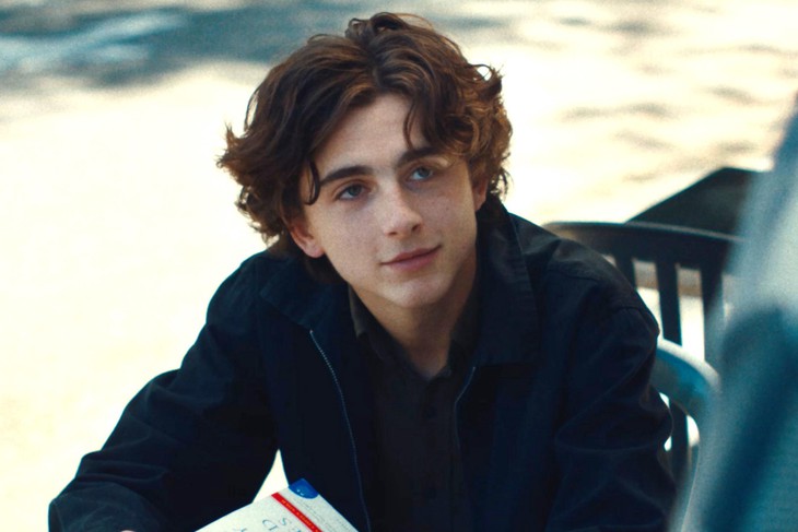 Timothée Chalamet - Biểu tượng nam tính mềm - Ảnh 1.