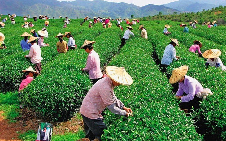 Cố ý sang Đài Loan làm 'hắc công'? - Ảnh 3.