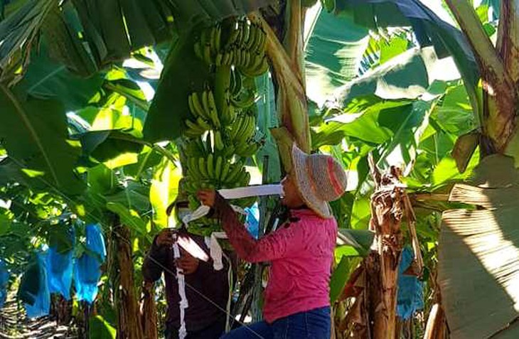 Người Việt dần xa Biển hồ Tonle Sap - Kỳ cuối: Những bàn tay chìa ra với đồng bào ở Biển Hồ - Ảnh 3.