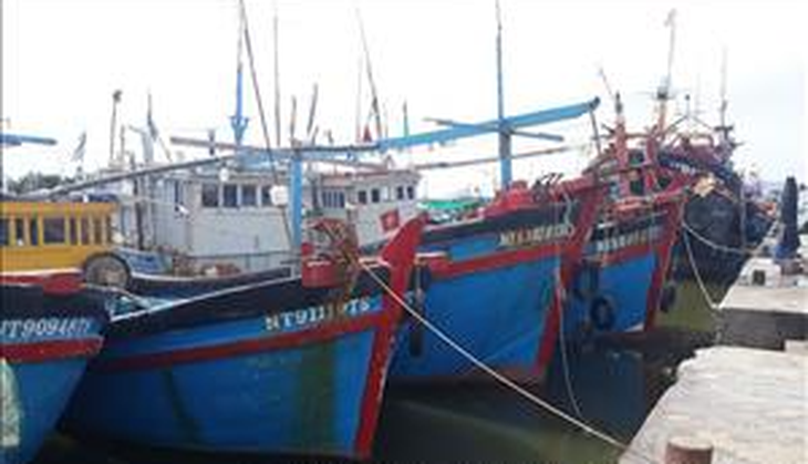 bao ninh thuan