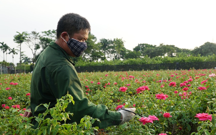 Tăng giờ làm thêm cho lao động thời vụ