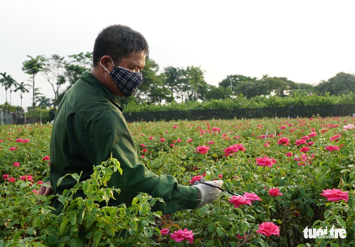 Tăng giờ làm thêm cho lao động thời vụ - Ảnh 1.