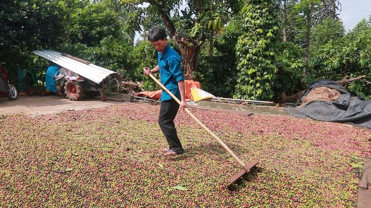 Khát khao thoát nghèo, làm giàu con chữ trên mảnh đất cằn Buôn Đôn - Ảnh 3.