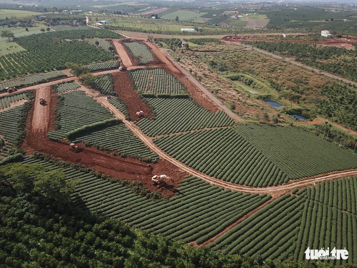 Xác minh dấu hiệu tội phạm liên quan việc phân lô tách thửa đồi chè tại Bảo Lộc - Ảnh 3.