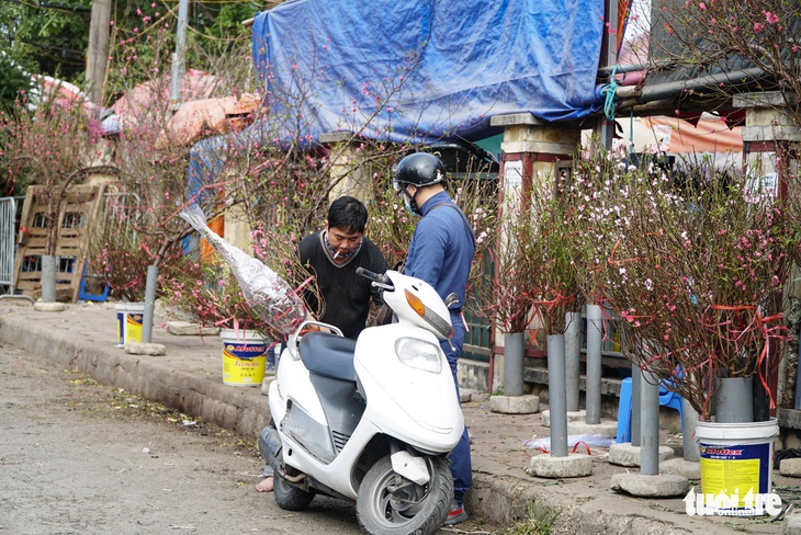 Hoa đào nở sớm, giá rẻ mà vẫn ít khách mua - Ảnh 1.