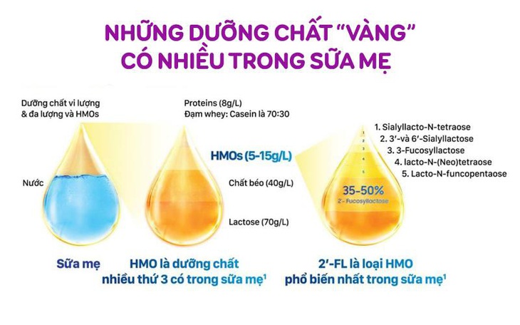 Vinlac Gold mới - Bổ sung HMO bảo vệ tiêu hệ hóa tăng cường hấp thu - Ảnh 2.