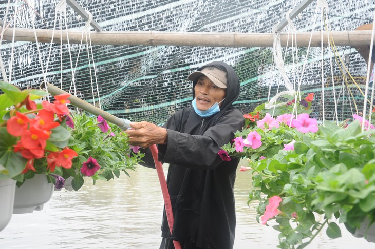 Nông dân Quảng Nam lội lũ cứu hoa tết - Ảnh 3.