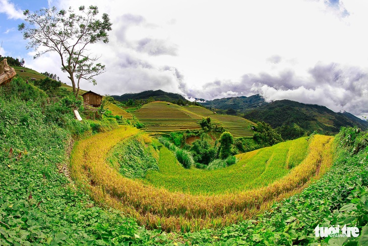 Ruộng bậc thang Mù Cang Chải chính thức trở thành di tích quốc gia đặc biệt - Ảnh 1.