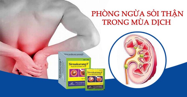 Phòng ngừa sỏi thận trong mùa dịch - Ảnh 1.