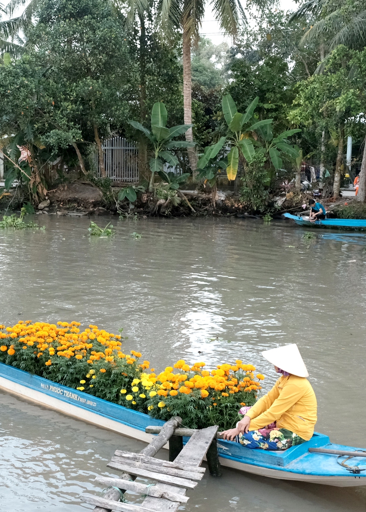 Còn đâu dáng ngoại khơi than hồng ngày xuân - Ảnh 1.