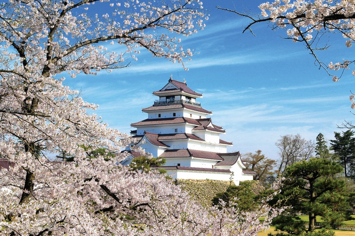 Vẻ đẹp bốn mùa của lâu đài Tsuruga, Fukushima - Ảnh 2.