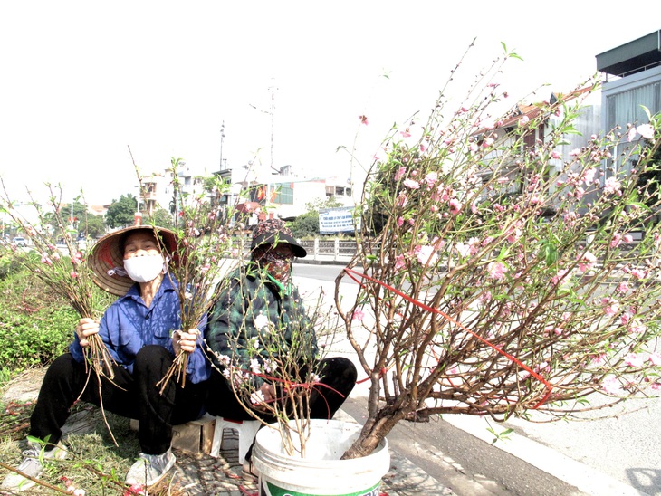 Hà Nội ngày 30 Tết: Đào, quất bung nở nhưng ít người mua, hoa tươi bỏ thối cả đống - Ảnh 4.