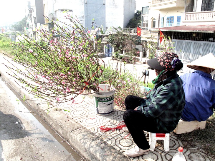 Hà Nội ngày 30 Tết: Đào, quất bung nở nhưng ít người mua, hoa tươi bỏ thối cả đống - Ảnh 3.