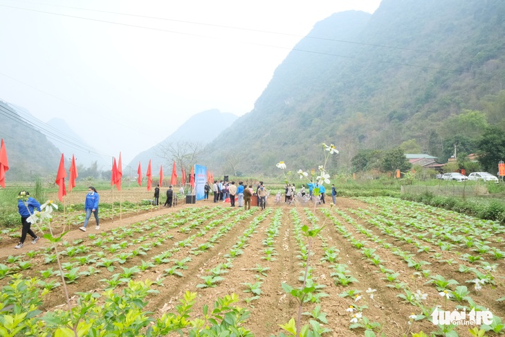 Khởi công phục dựng nhà sàn anh Kim Đồng, khởi động Tháng thanh niên - Ảnh 3.