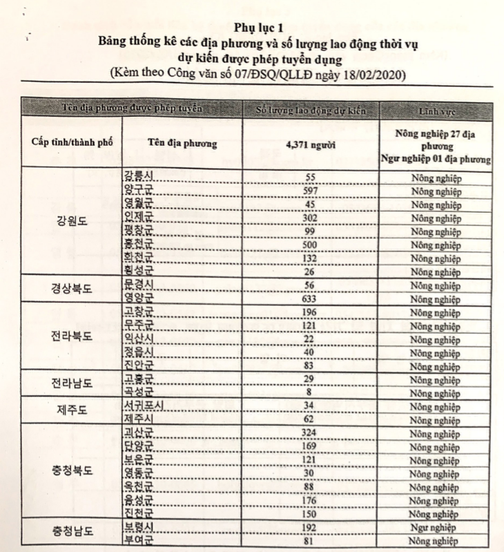 Hàn Quốc cho phép lao động visa E-9 hết hợp đồng làm thời vụ tạm thời - Ảnh 1.