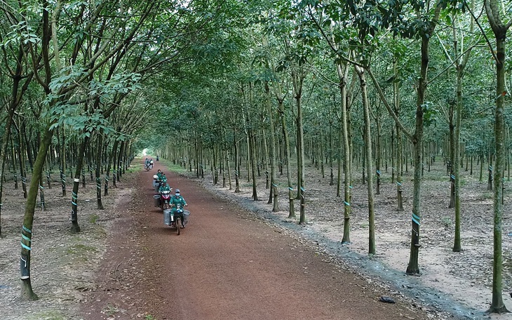 Gần 19.000ha đất công bị lấn, chiếm