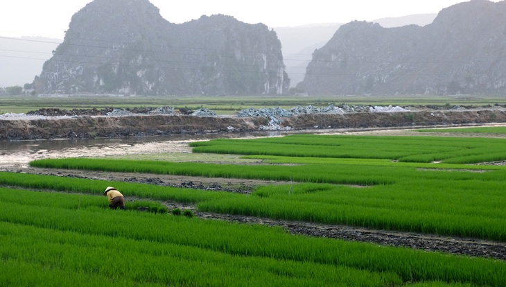 Tết xưa - Tết nay: Mùi tết của tôi là mùi sương trên đồng ba cày - Ảnh 1. Tết xưa - Tết nay: Mùi tết của tôi là mùi sương trên đồng ba cày - Ảnh 1.