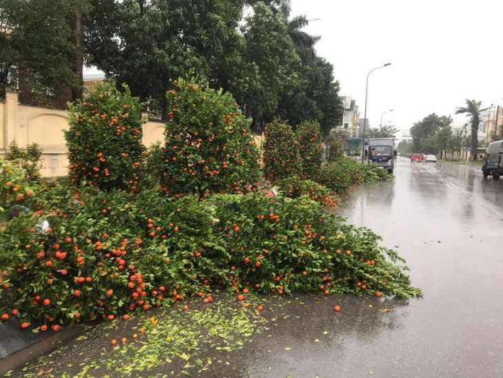 Mưa lớn ngày 28 Tết, hoa kiểng chợ hoa ngã đổ, tiểu thương như ngồi trên lửa - Ảnh 1.