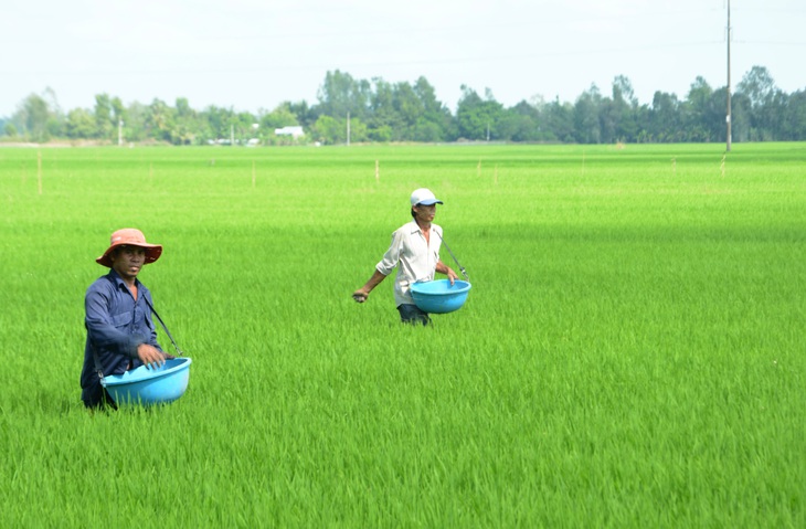 Phân DAP khan hàng, sốt giá kéo dài: Họp khẩn với các nhà sản xuất trong nước - Ảnh 1.