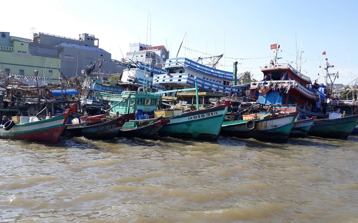 Một tàu cá Cà Mau bị xử phạt hơn 500 triệu đồng vì vi phạm vùng biển nước ngoài - Ảnh 2.