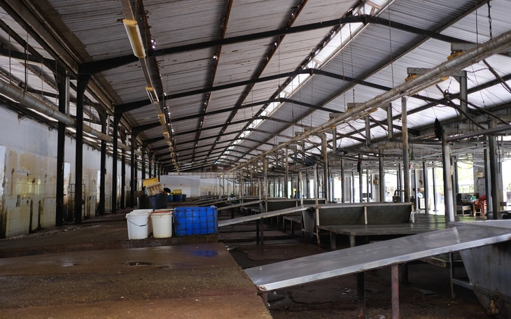 Dân Thứ Bảy 'tố' hộ kinh doanh trâu - bò giết mổ ngay tại chợ, làm ô nhiễm? - Ảnh 2.