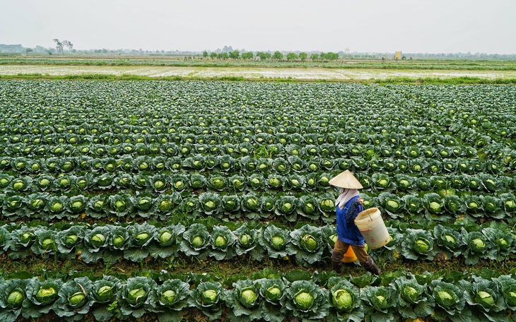 Cà Mau tìm cách để có vùng nông thôn đáng sống - Ảnh 4.