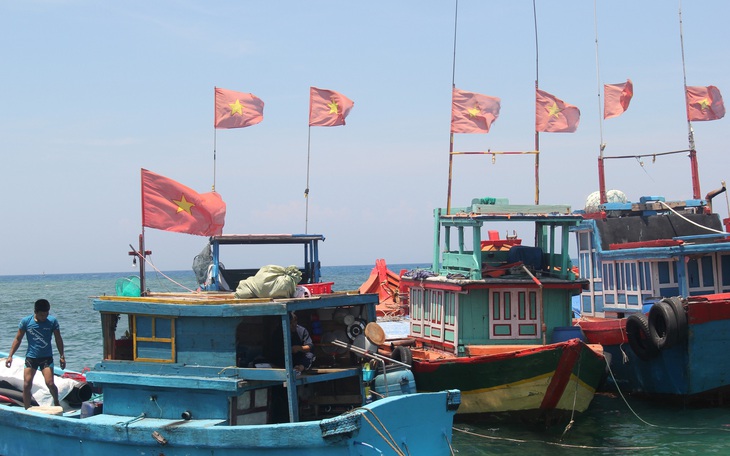 Mở tuyến đường thủy Đà Nẵng - Lý Sơn: Sở từ chối, UBND Quảng Ngãi lại ủng hộ