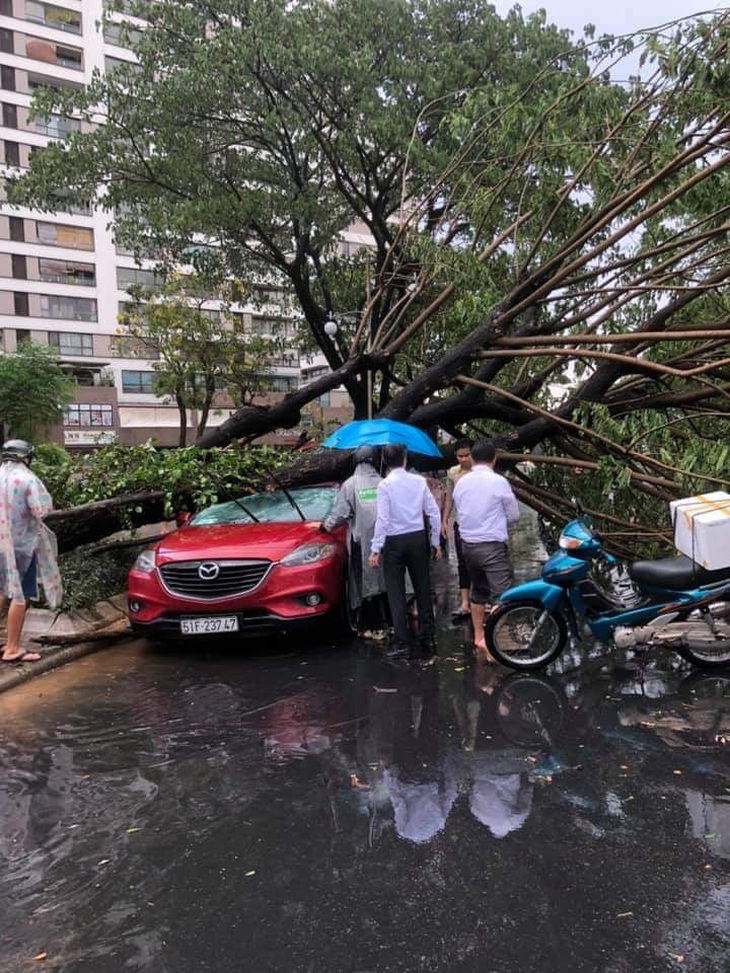 TP.HCM: Mưa to gió lớn, cây ngã đè xe máy làm 2 người bị thương - Ảnh 6.