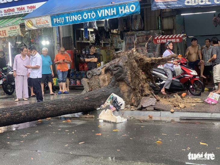 TP.HCM: Mưa to gió lớn, cây ngã đè xe máy làm 2 người bị thương - Ảnh 4.