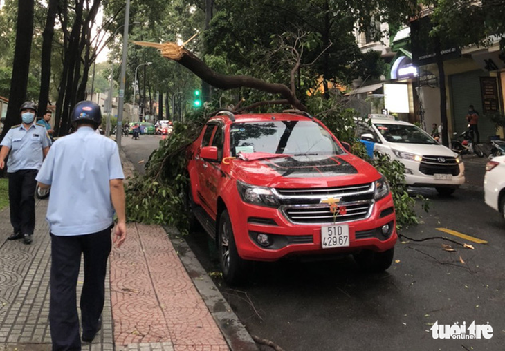 Mưa Sài Gòn chiều 15-4, nhiều đường ngập, cành sao lớn gãy lìa, đè bẹp nóc xe hơi - Ảnh 2.