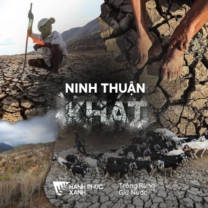 Rủ nhau gửi cây thanh thất đến Ninh Thuận để trồng rừng - giữ nước - Ảnh 2.