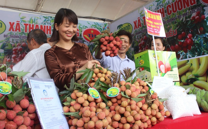 Khơi thông xuất khẩu, nâng tầm thương hiệu vải thiều